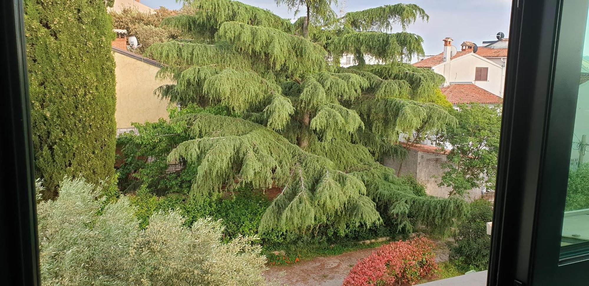 Apartments Adri, Parking in the yard Rovinj Bagian luar foto